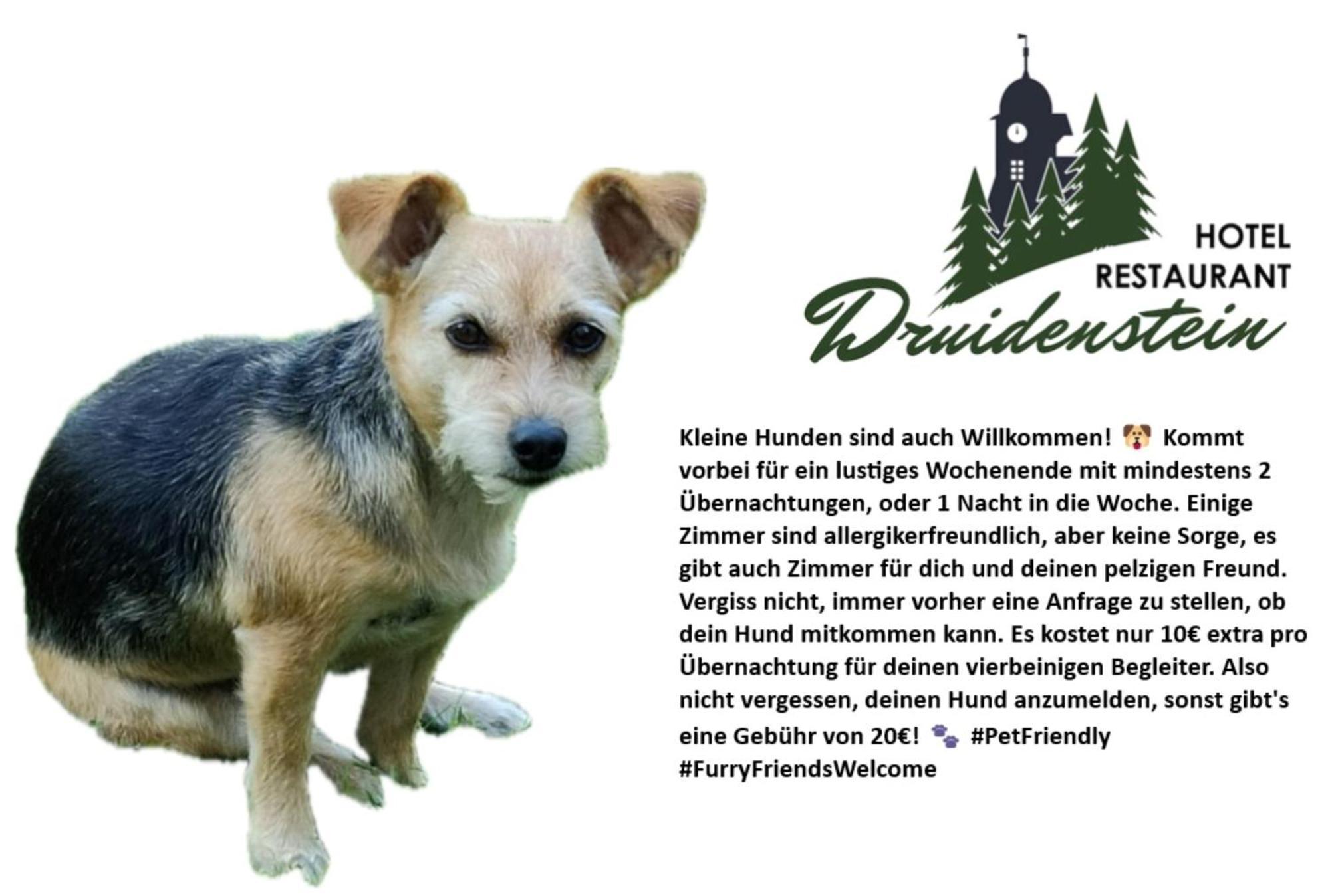 Hotel & Restaurant Druidenstein Trautenstein Exteriör bild